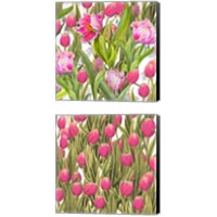 Framed 'Tulip Symphony 2 Piece Canvas Print Set' border=
