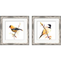 Framed 'Watercolor Bird 2 Piece Framed Art Print Set' border=