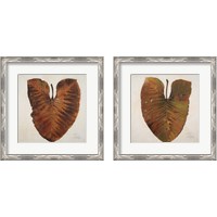 Framed Amazonas  2 Piece Framed Art Print Set