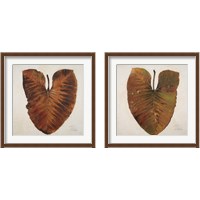 Framed 'Amazonas  2 Piece Framed Art Print Set' border=