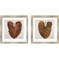 Framed Amazonas  2 Piece Framed Art Print Set