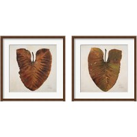 Framed Amazonas  2 Piece Framed Art Print Set