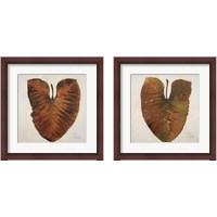 Framed Amazonas  2 Piece Framed Art Print Set