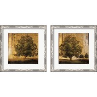 Framed 'Aged Tree 2 Piece Framed Art Print Set' border=