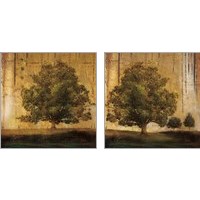 Framed 'Aged Tree 2 Piece Art Print Set' border=