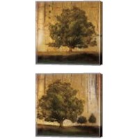 Framed 'Aged Tree 2 Piece Canvas Print Set' border=