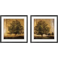 Framed Aged Tree 2 Piece Framed Art Print Set