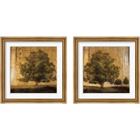 Framed 'Aged Tree 2 Piece Framed Art Print Set' border=