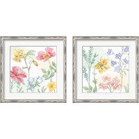 Framed 'Peaceful Petals 2 Piece Framed Art Print Set' border=