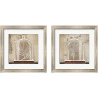 Framed Coral Cloche 2 Piece Framed Art Print Set