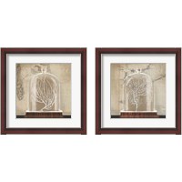 Framed Coral Cloche 2 Piece Framed Art Print Set