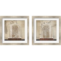 Framed 'Coral Cloche 2 Piece Framed Art Print Set' border=