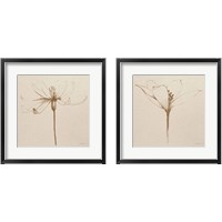 Framed Modern Vintage Floral  2 Piece Framed Art Print Set