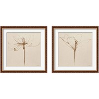 Framed Modern Vintage Floral  2 Piece Framed Art Print Set