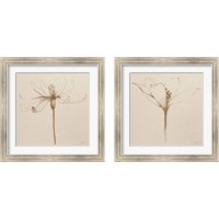 Framed 'Modern Vintage Floral  2 Piece Framed Art Print Set' border=