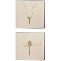 Framed 'Modern Vintage Floral  2 Piece Canvas Print Set' border=