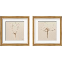 Framed 'Modern Vintage Floral  2 Piece Framed Art Print Set' border=