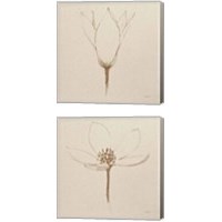 Framed 'Modern Vintage Floral  2 Piece Canvas Print Set' border=