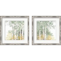 Framed Natures Leaves Sage 2 Piece Framed Art Print Set