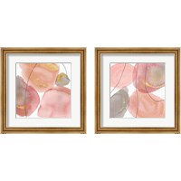 Framed Petal Passion 2 Piece Framed Art Print Set