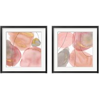 Framed 'Petal Passion 2 Piece Framed Art Print Set' border=