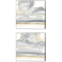 Framed Cumulus Gray 2 Piece Canvas Print Set