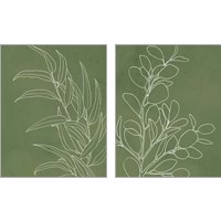 Framed 'Eucalyptus on Green 2 Piece Art Print Set' border=