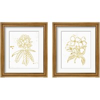 Framed 'Gold Blooms 2 Piece Framed Art Print Set' border=