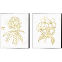 Framed 'Gold Blooms 2 Piece Canvas Print Set' border=