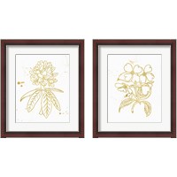 Framed Gold Blooms 2 Piece Framed Art Print Set