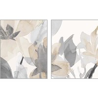 Framed Muted Delicate Floral 2 Piece Art Print Set