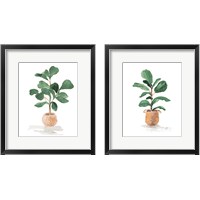 Framed 'Potted Fiddle Fig Tree 2 Piece Framed Art Print Set' border=