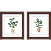 Framed 'Potted Fiddle Fig Tree 2 Piece Framed Art Print Set' border=