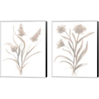 Framed Beige Herb 2 Piece Canvas Print Set