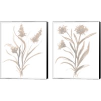 Framed 'Beige Herb 2 Piece Canvas Print Set' border=