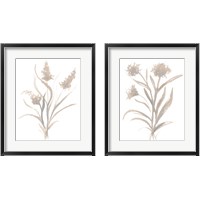 Framed Beige Herb 2 Piece Framed Art Print Set