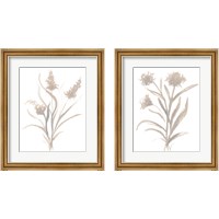 Framed 'Beige Herb 2 Piece Framed Art Print Set' border=