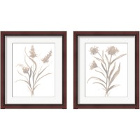 Framed 'Beige Herb 2 Piece Framed Art Print Set' border=