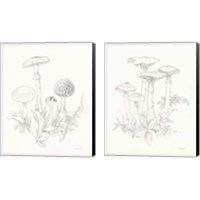 Framed Nature Sketchbook 2 Piece Canvas Print Set