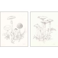Framed Nature Sketchbook 2 Piece Art Print Set