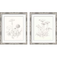 Framed 'Nature Sketchbook 2 Piece Framed Art Print Set' border=