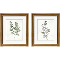 Framed 'Fresh Farmhouse 2 Piece Framed Art Print Set' border=