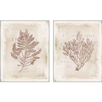 Framed 'Sea Garden 2 Piece Art Print Set' border=