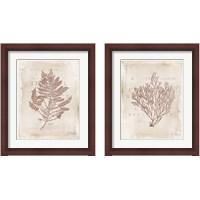 Framed 'Sea Garden 2 Piece Framed Art Print Set' border=