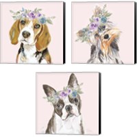 Framed 'Flower Crown Pet 3 Piece Canvas Print Set' border=