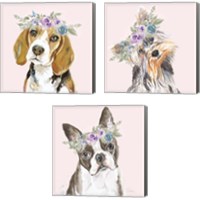 Framed 'Flower Crown Pet 3 Piece Canvas Print Set' border=