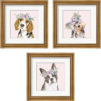 Framed Flower Crown Pet 3 Piece Framed Art Print Set