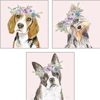 Framed 'Flower Crown Pet 3 Piece Art Print Set' border=