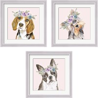 Framed 'Flower Crown Pet 3 Piece Framed Art Print Set' border=