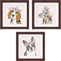 Framed 'Flower Crown Pet 3 Piece Framed Art Print Set' border=